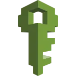 Aws Iam SVG Icon